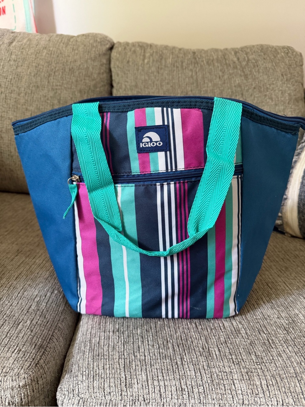 Igloo Teal, Navy & Magenta Striped Insulated Tote